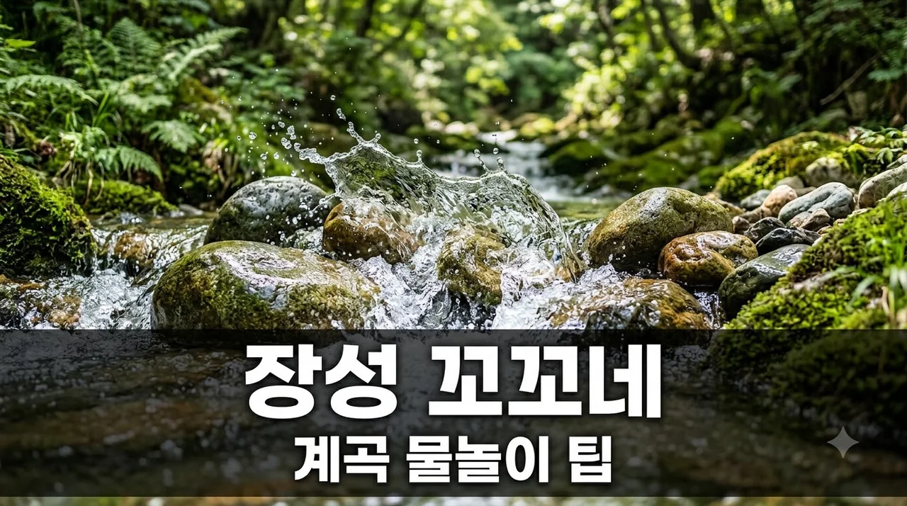 장성 꼬꼬네 관광농원 평상 가격 및 남창계곡 물놀이 예약 팁