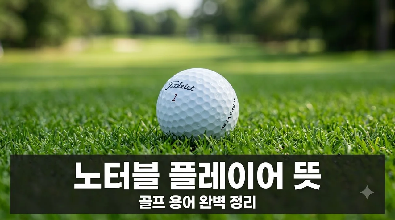 노터블 플레이어 뜻 골프 중계 리더보드 용어 쉽게 알아보기