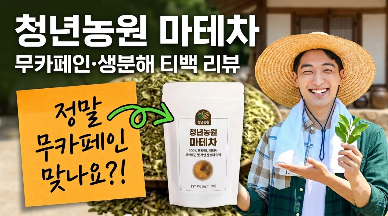 청년농원 마테차 무카페인 생분해 티백 수분섭취 후기