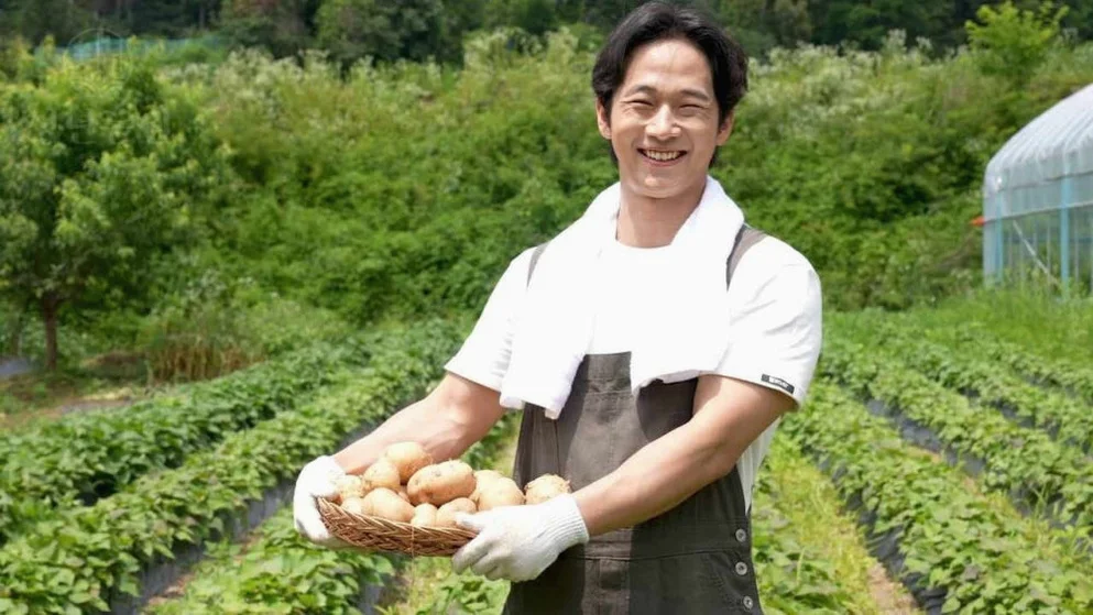 [청년농원] 마테차 태양의 마테 효능 무카페인 생분해 마테 티백 [원산지:상세설명에 표시] 상세 이미지 1