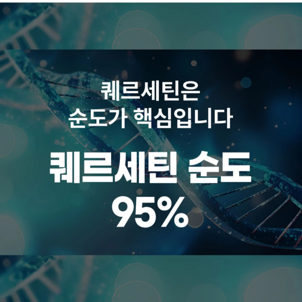 1+1 브로멜라인 퀘르세틴 파인애플 효소 파파인 아이 노스릴리브 소포레틴 60정, 2개 [원산지:상세설명에 표시] 상세 이미지 2