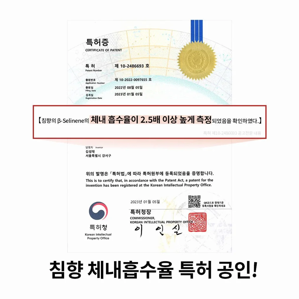 조선비책 침향환 초고함량 발효 침향 효능 침향단 체내흡수2.5배 침향원 1박스60환 [원산지:상세설명에 표시] 상세 이미지 7